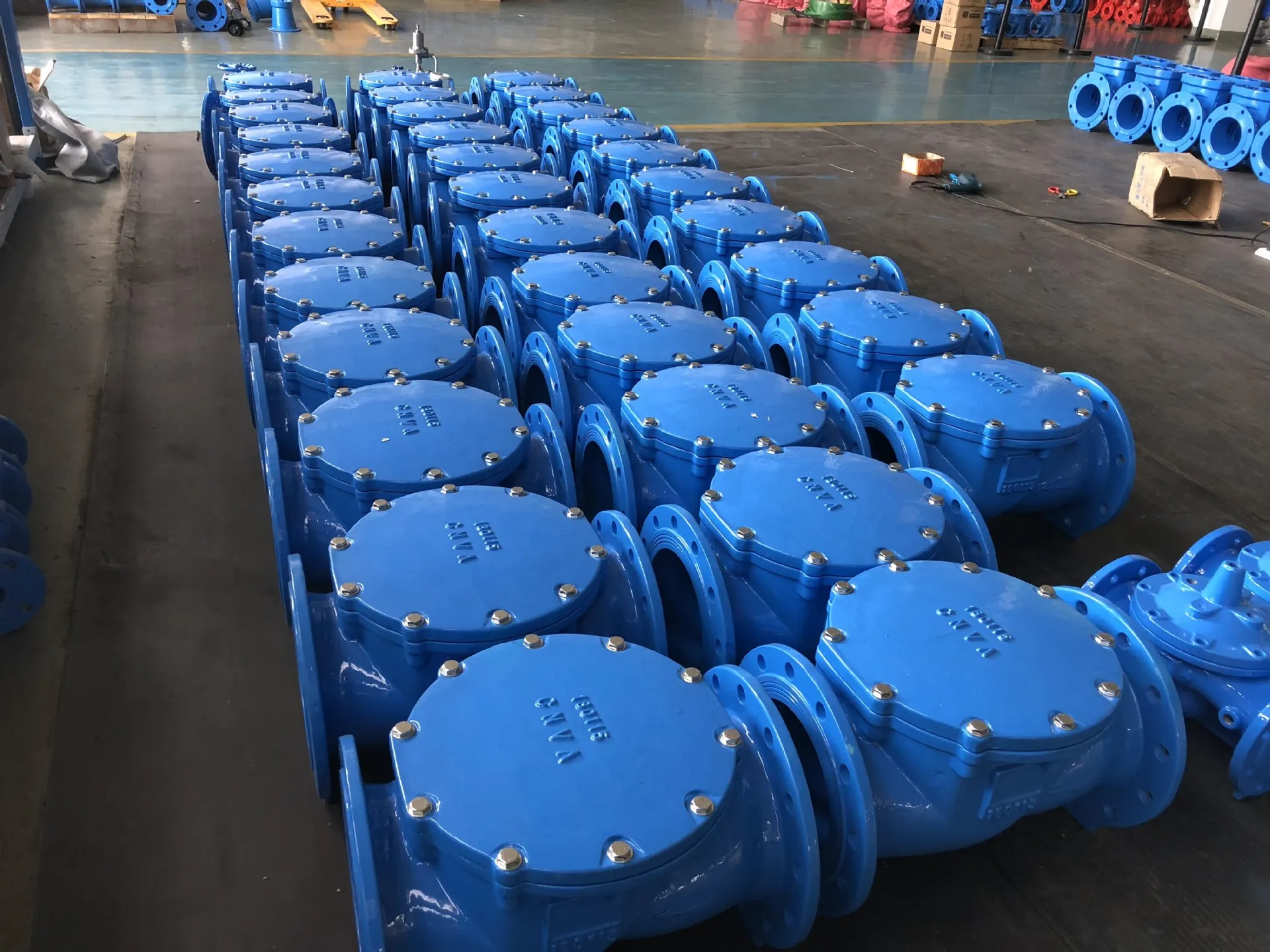 Детальніше про Disc Check Valve